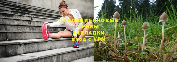 шишки Алзамай