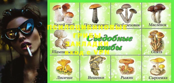 шишки Алзамай