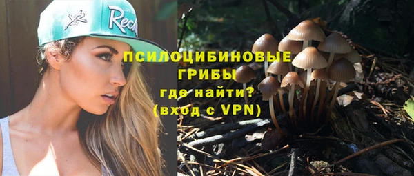 дурь Алексин