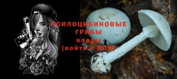 гашик Абаза