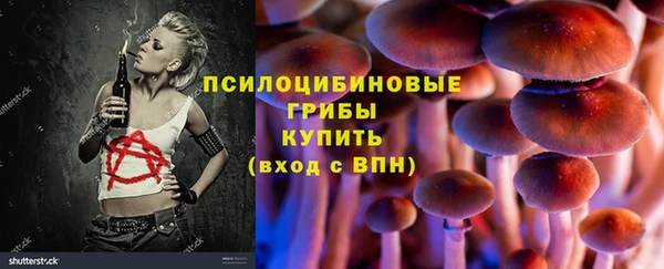 амф Алексеевка