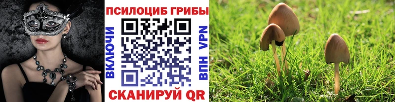 Галлюциногенные грибы Magic Shrooms  Задонск 